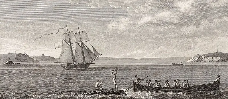 Le pilote francais Levee en rade de Brest2
