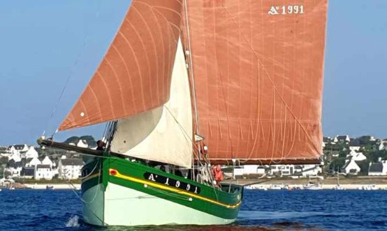 Lire la suite à propos de l’article Immatriculation ? La réponse fut..